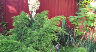 Гостевой дом Laguna na Khalturina Геленджик Двухместный номер эконом-класса с 2 отдельными кроватями-4